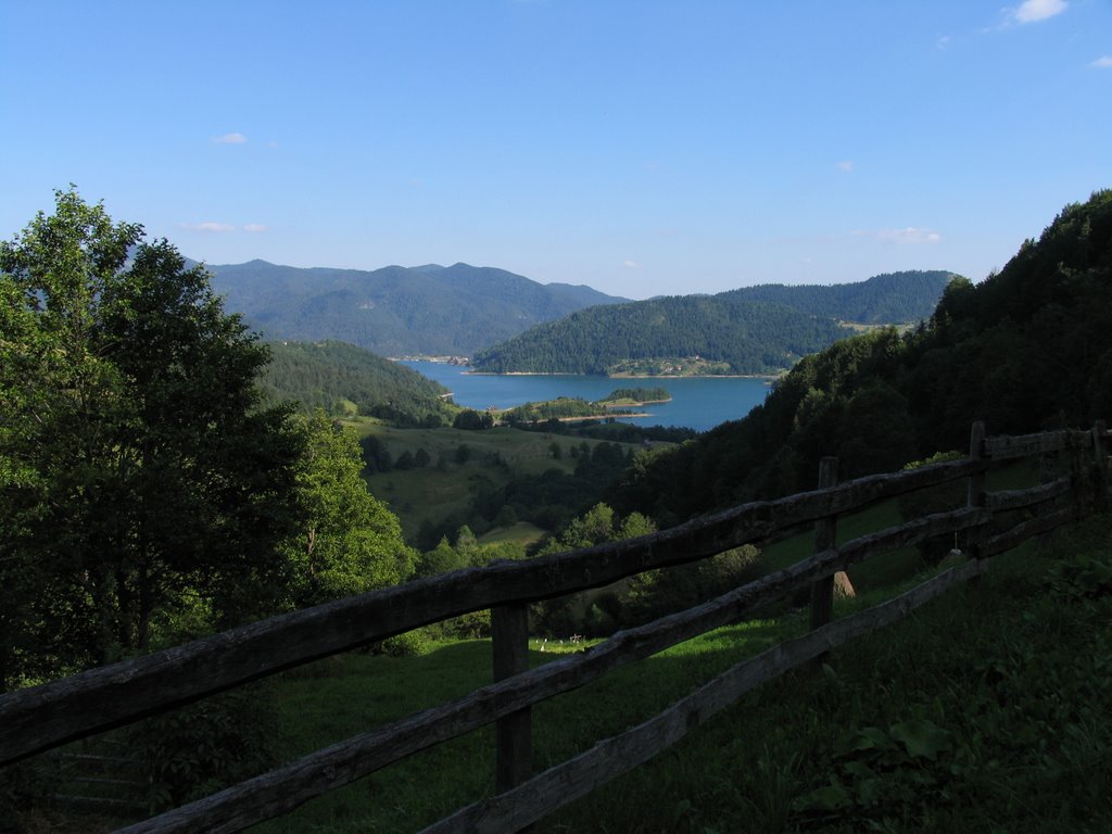 Tara Mountain in Serbia